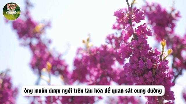 5 Thứ Rau Rẻ Tiền Là VUA GIẢI ĐỘC GAN, Cả Đời Không Lo Bệnh Tật ! | Triết Lý Tinh Hoa