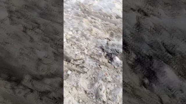 Выезд клуба 4х4 Петропавловск