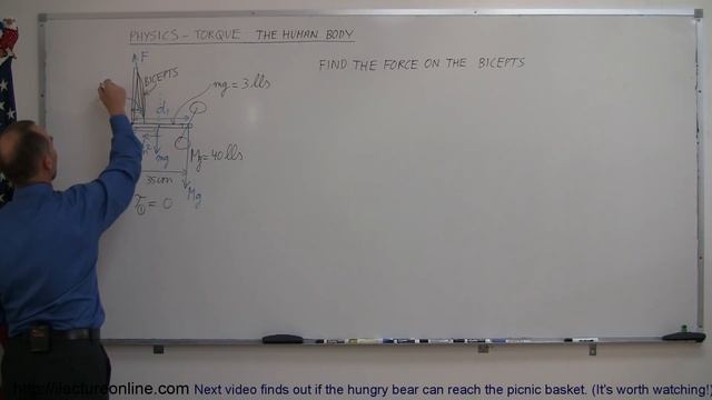 Physics 15 Torque Example 5 (5 of 7) The Bicep смотреть онлайн