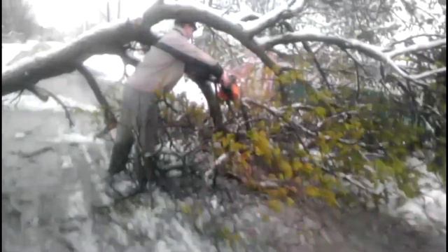 20 и 21 апреля 2017 смотреть онлайн