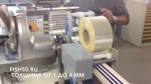 Слайсер автоматический дисковый для рыбы с укладкой, модель Salmco 3029. Производство  Германия