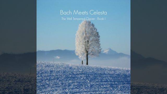 The Well Tempered Clavier Book I No. 22 in B-flat minor BWV 867: Fugue смотреть онлайн