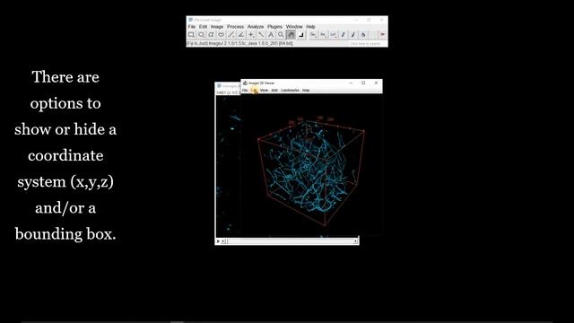 Processing z Stacks 2: 3D Reconstruction & Volume Rendering (FIJI/ ImageJ) смотреть онлайн