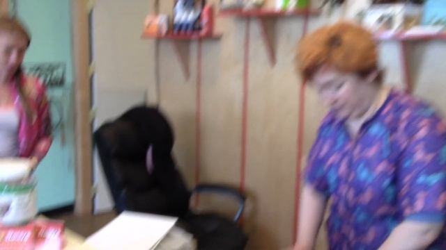 АМЕРИКА парикмахерская для собак Нью-Йорк Русская Америка Юрий Моша смотреть онлайн