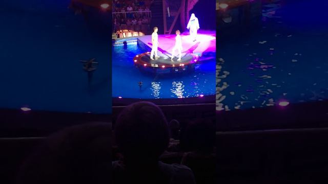 цырк ура 👏 ура всё хорошо прошло видео про 👾 это время просто прости(2) смотреть онлайн