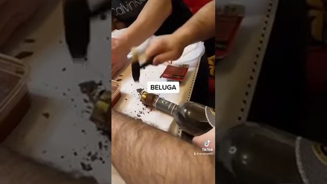 В тт это видео набрало 700к просмотров, дегустация Белуга Gold Line смотреть онлайн