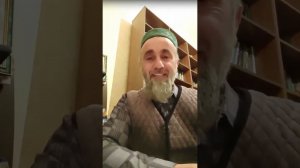 Шамиль Омаров о пчелах и пчеловодстве