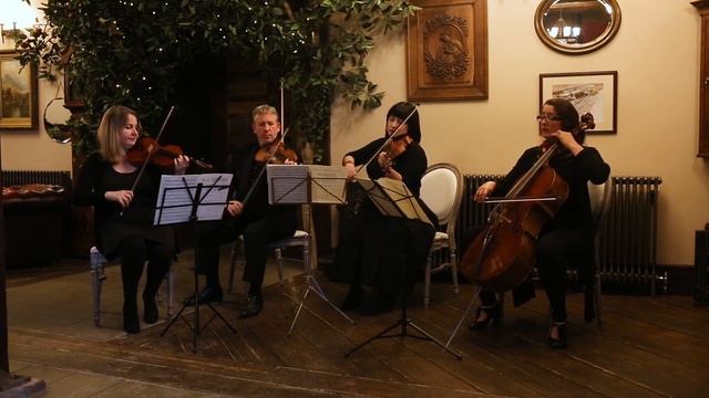 Solar Strings Performing Divertimento In D - Available From AliveNetwork.com