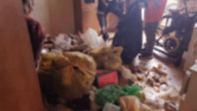 Вывоз мусора перед уборкой. дезочистка смотреть онлайн