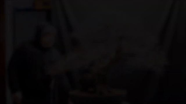 BIG Carpinus Bonsai 360° смотреть онлайн