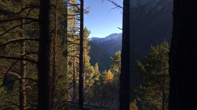 Осенью в горах КЧР смотреть онлайн