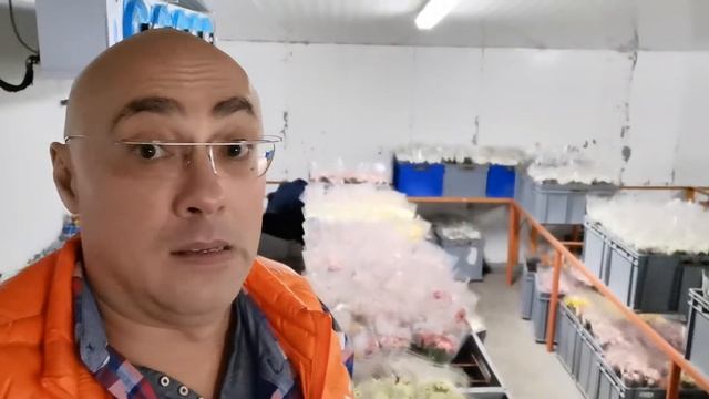 Ранункулюсы и анемоны из Эквадора ?? от Интерфлоралогистик смотреть онлайн