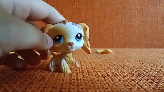 Распоковка спаниеля смотреть онлайн