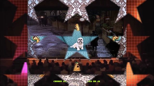 GENE KELLY SINGIN IN THE RAIN CHERRY FILMS STUDIOS ULTRA HD 4K смотреть онлайн