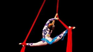 Гимнастку в цирке одолела диарея СМЕШНОЕ ВИДЕО