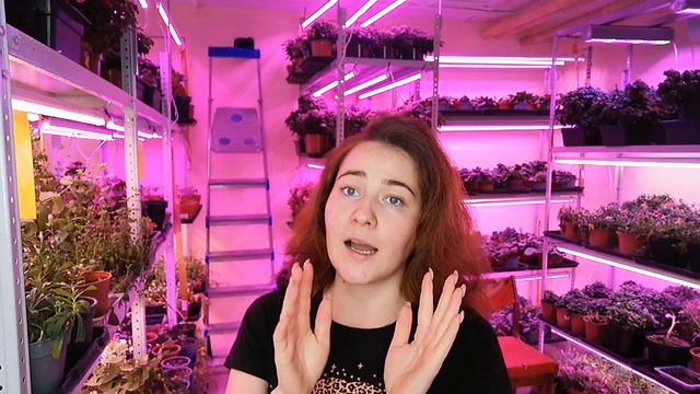 Как сохранить выращенную #микрозелень #семенаильинские #ильинскиепроростки #ситиферма #бизнесснуля смотреть онлайн