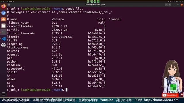 【Conda】Miniconda - Python的包管理器，再见pip - conda смотреть онлайн