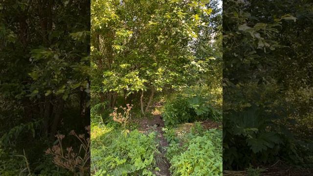 Собственник.Продам участок 15 сот.8 (926) 219-38-82 смотреть онлайн