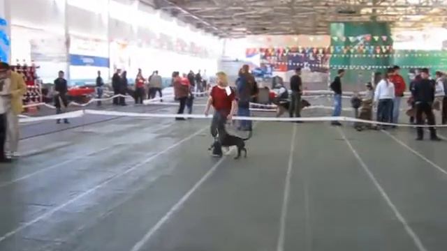 Гам, Шанти и Бу сравнение 09 апреля 2011 года смотреть онлайн