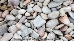 Дренаж для комнатных растений своими руками