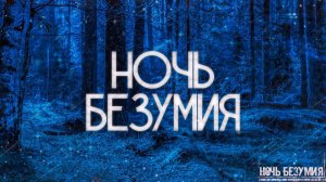 НОЧЬ БЕЗУМИЯ! Страшные Истории На Ночь