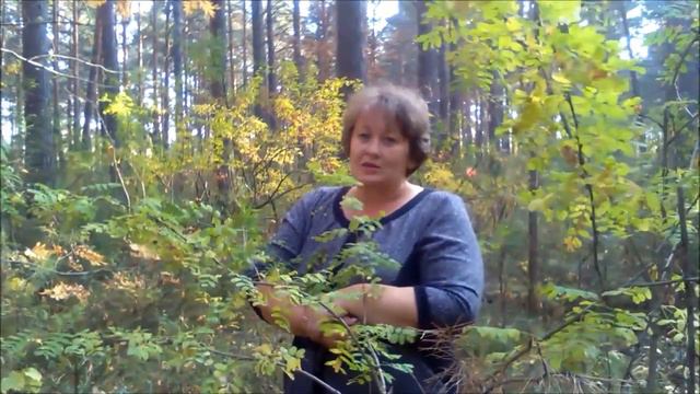 Новичок Ольга. История прихода. Канал Светланы Мурадян смотреть онлайн