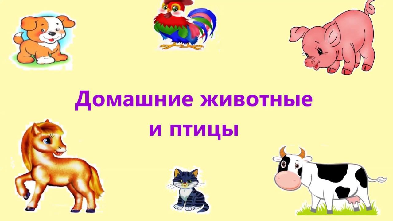 Домашние животные | Учим животных с детьми | Мультики для малышей | Развиваем малышей смотреть онлайн