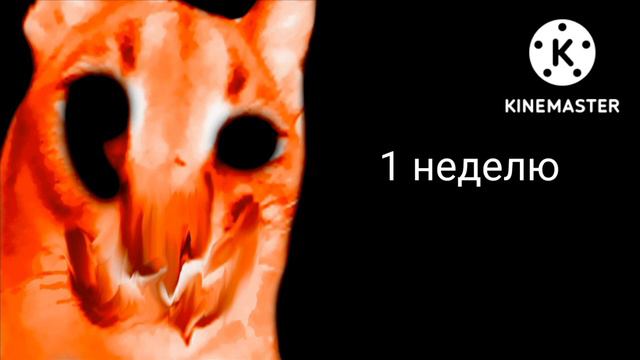 Насколько долго длится урок: смотреть онлайн
