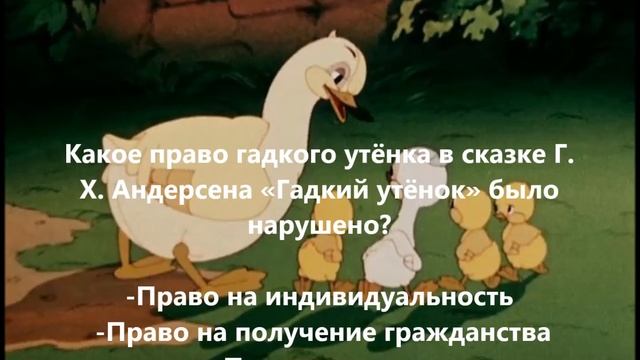 По сказочным лабиринтам права