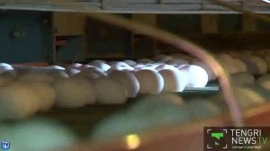 Как это сделано: Яйца