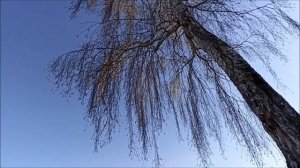 Клип на песню (Бестолковая любовь)