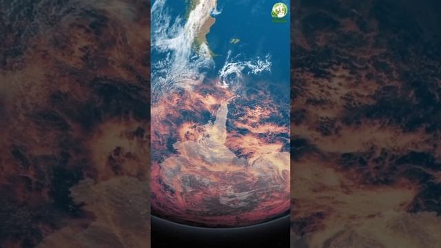 Исчезновение Насекомых. Из - за чего? #shorts #насекомые #природа смотреть онлайн