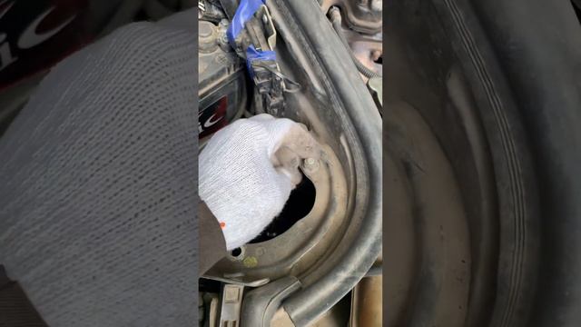 Движение жизни