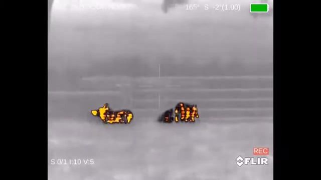 Охота с тепловизором на кабана. Подписывайтесь и будьте в курсе о новых видеороликах. смотреть онлайн