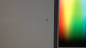 Муравей в матрице | Ant in the matrix