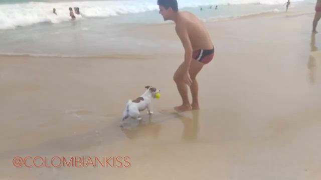 Day Walk in Leblon Beach - Rio de Janeiro, Brazil смотреть онлайн