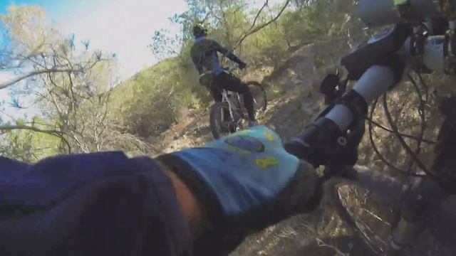 Ciclistas perdidos en Coto Cuadros entre pinos смотреть онлайн