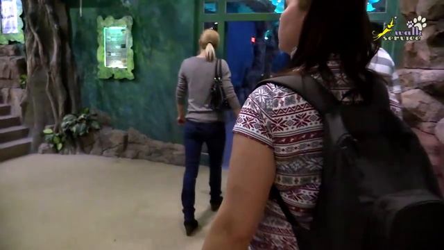 Океанариум в Москве, Рио смотреть онлайн