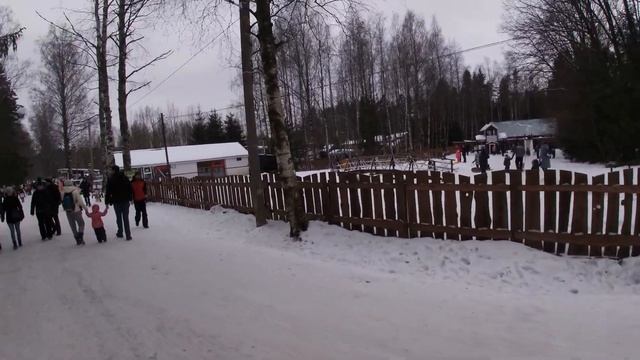 Зубры Ленинградской области. Токсовский Зубровник . Новогодние праздники в Санкт-Петербурге. смотреть онлайн