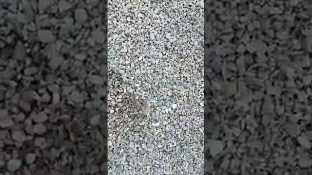 Щебень 9 смотреть онлайн