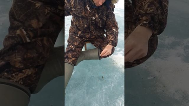 Фыркал, крупная рыба...... смотреть онлайн