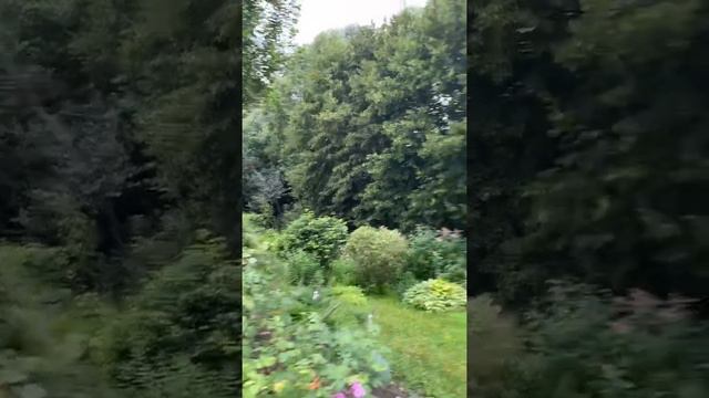 Тихвинской иконы Богородицы источник 🙏❤️ смотреть онлайн