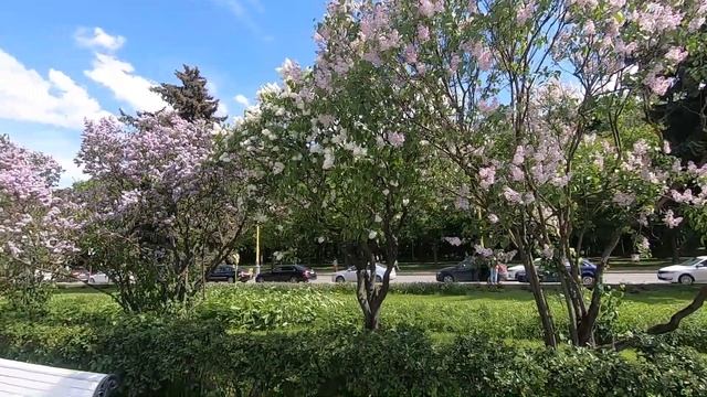 Влог! Надувная кровать/Когда привезут кухню? Воробьевы горы/Канатная дорога/Прогулка на теплоходе