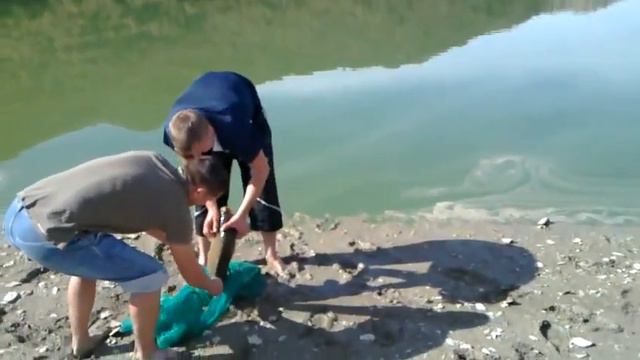 carp fishing .Ловля карпа Карп Рыбалка Parasunko Ruslan Badzagua Vladimir смотреть онлайн