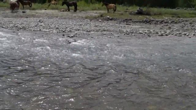 Река Чуя смотреть онлайн