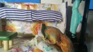 Сериал "Новенькая" 2серия