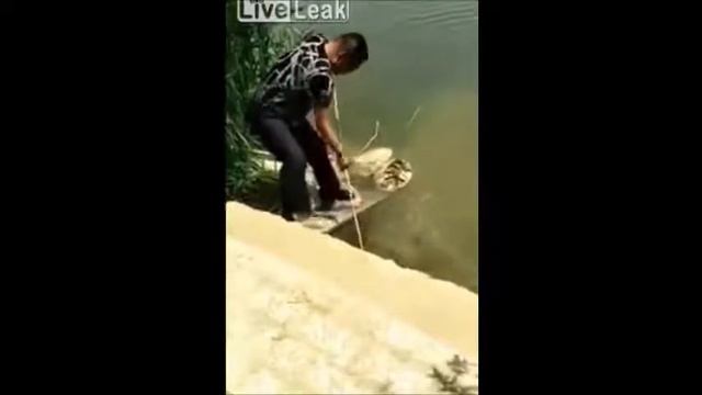 Китаец на рыбалке ))) смотреть онлайн