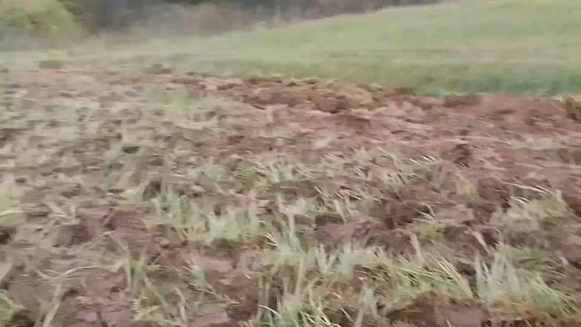 вспашка целины самодельным минитрактором смотреть онлайн