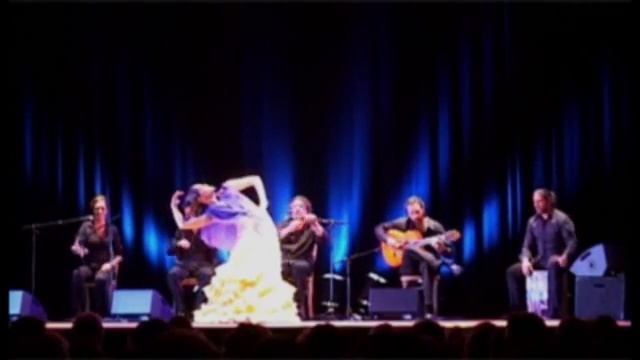 Patricia Guerrero - Alegrias (part 1)