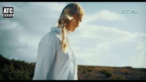 Стая журавлей